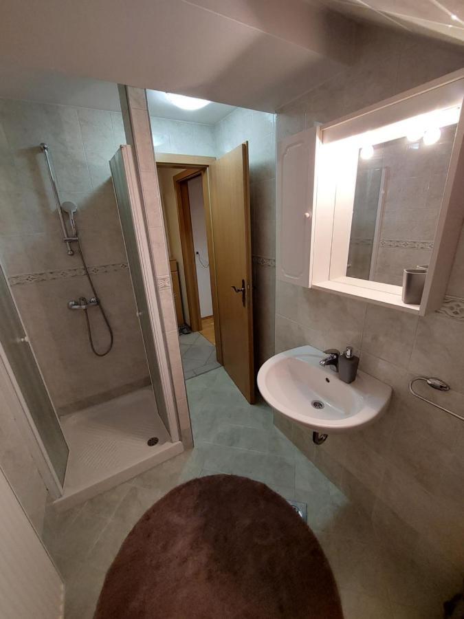 Apartmaji Vesna 博希尼 外观 照片