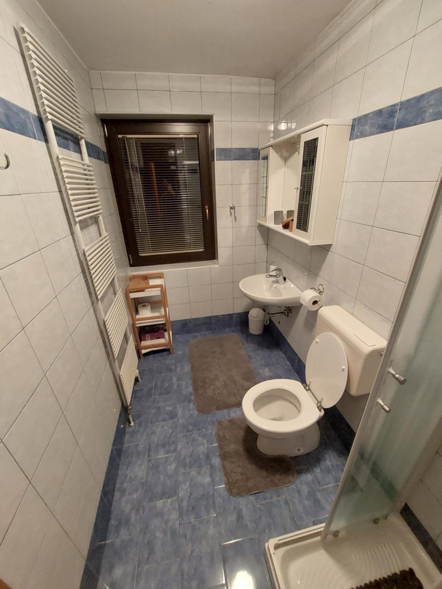 Apartmaji Vesna 博希尼 客房 照片